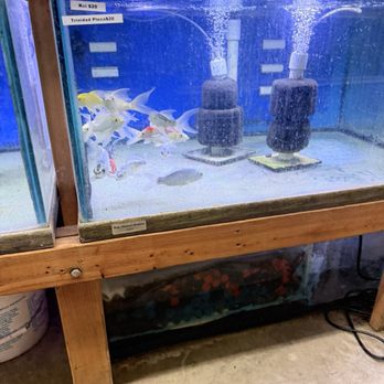 Texas Aquatics - Local Fish Stores Near Me - North Richland Hills, Texas Texas Aquatics - Local Fish Stores Near Me - North Richland Hills, Texas