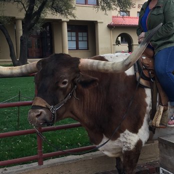 Hyatt Place DFW - Longhorn Steer @ Fort Worth Stock Yards - Hotels Near Me - Euless, Texas