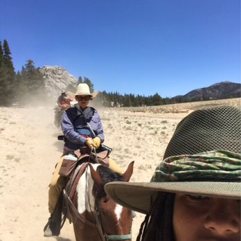 Riding Wild - Community Service/Non-Profit Near Me