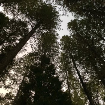 Inn Town Campground - Campgrounds Near Me - Nevada City, California Inn Town Campground - Campgrounds Near Me - Nevada City, California