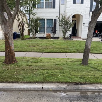 Guerrero Landscape - After - Landscaping Near Me - Dallas, Texas Guerrero Landscape - After - Landscaping Near Me - Dallas, Texas