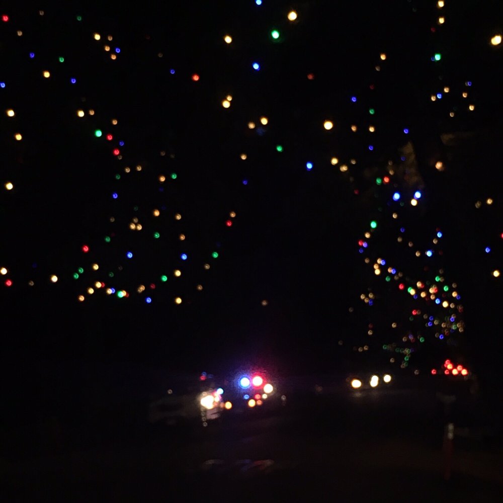 Christmas Tree Lane - Christmas Trees Near Me - Altadena, California Christmas Tree Lane - Christmas Trees Near Me - Altadena, California