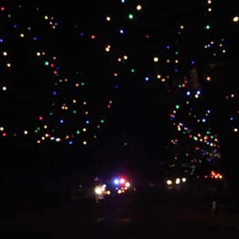 Christmas Tree Lane - Christmas Trees Near Me - Altadena, California