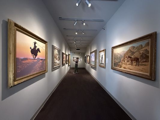 Briscoe Western Art Museum by null