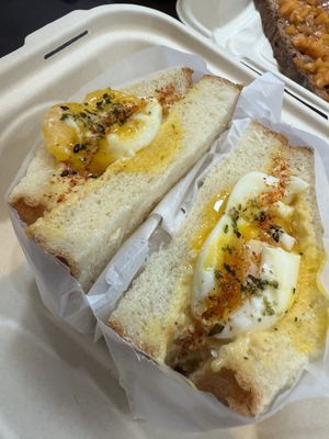 The Wild Fox by null