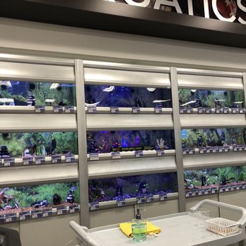 PetSmart - Pet Training Near Me - HONOLULU, Hawaii PetSmart - Pet Training Near Me - HONOLULU, Hawaii