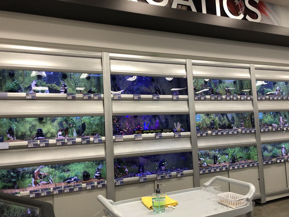 petsmart nimitz