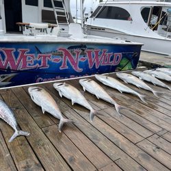Wet N Wild Sportfishing Charters