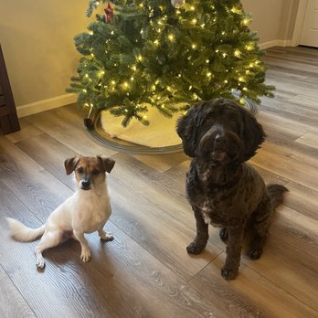 Love & Second Chances - First day in my new home! - Pet Adoption Near Me