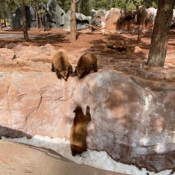 Bearizona - Zoos Near Me - Williams, Arizona