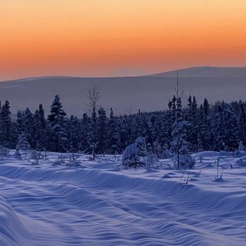 Borealis Basecamp - Sunset - Hotels Near Me - Fairbanks, Alaska