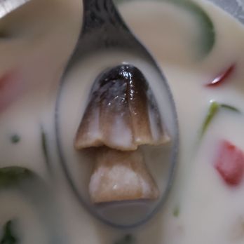 Thai Orchid - Tom Kha - Thai Near Me - Mission, Kansas Thai Orchid - Tom Kha - Thai Near Me - Mission, Kansas