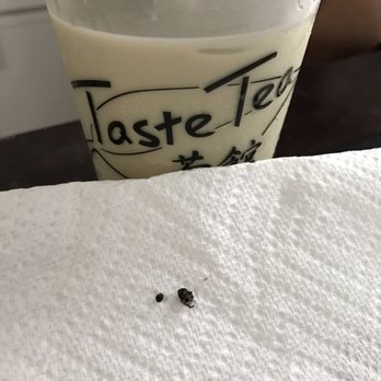 Taste Tea - Thought I was chewing on boba! & it wasn't! It was a fly!! Very upsetting. - Food Trucks Near Me - Waipahu, Hawaii Taste Tea - Thought I was chewing on boba! & it wasn't! It was a fly!! Very upsetting. - Food Trucks Near Me - Waipahu, Hawaii