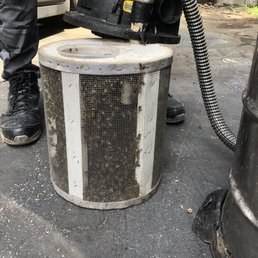 Bees are ready to be transferred to a better and safer place.