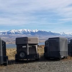 Avenue Rental and Sales - Full line of livestock and horse trailers from Travalong and Circle D trailers.