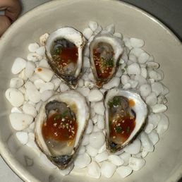 Oysters Oysters