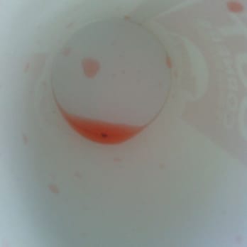 Wendy's - Bug that was in the bottom of my drink - Fast Food Near Me - Clearwater, Florida