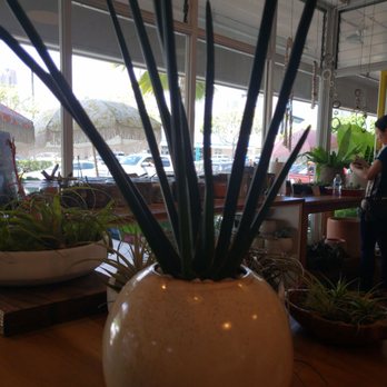 Paiko - Florists Near Me - Honolulu, Hawaii