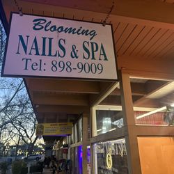 Blooming Nails & Spa