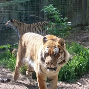 Dublin Zoo - Zoos Near Me - Dublin, D Dublin Zoo - Zoos Near Me - Dublin, D