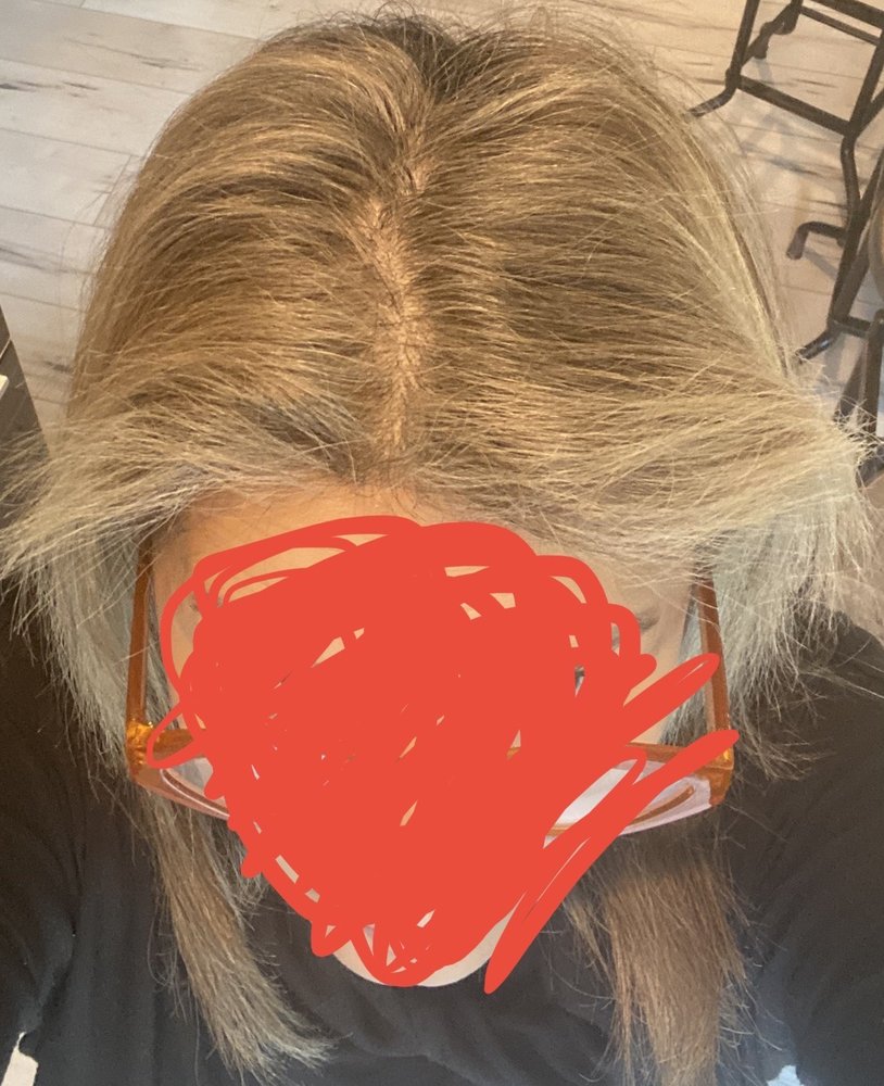 MANASE MEIS SALON Updated September 2024 43 Photos & 15 Reviews