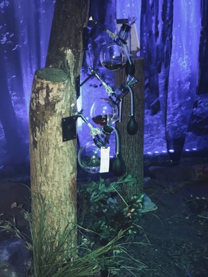 The Bath Club by null