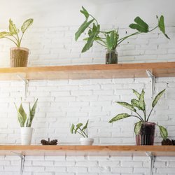 Modern Shelving