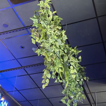 Butterbird - Butterbird plant - Salad Near Me - Watertown, Massachusetts