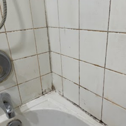 The Grout Man - before picture of a re grout/re caulk