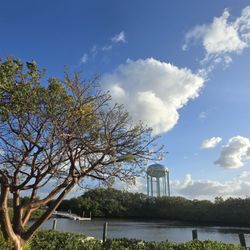 West Lake Park - Walking path