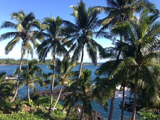 Hana's Tradewind Cottages by null