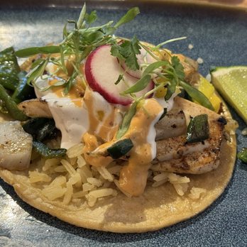 Rosa Mexican Kitchen Thornton - Mahi Mahi tacos - Mexican Near Me - Thornton, Colorado