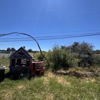 Suncatcher Farm - This is the part I love the most is so cute for kids to play - Pick Your Own Farms Near Me - Petaluma, California Suncatcher Farm - This is the part I love the most is so cute for kids to play - Pick Your Own Farms Near Me - Petaluma, California
