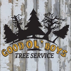 Good Ol' Boys