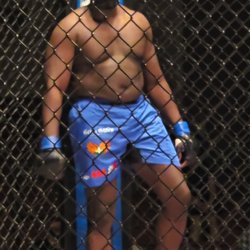 Heal'n Hand'z - MMA Sponsorships!