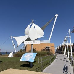 Sailwinds Park