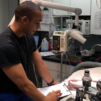 Union Veterinary Clinic - Christian, one of our veterinary nurses, monitors the patient's vital signs closely during a dental procedure. - Veterinarians Near Me - Washington, DC, District of Columbia