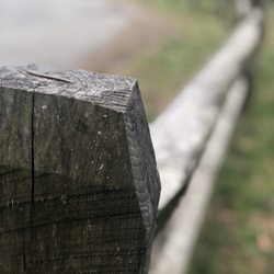 Strawbridge Lake Park