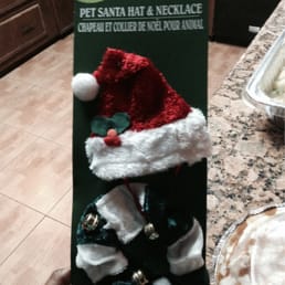 Pet Santa hat/jingle bells