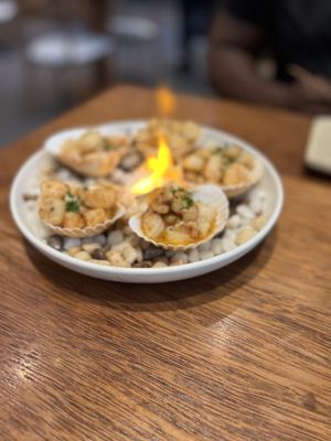 Osaka Miami by null