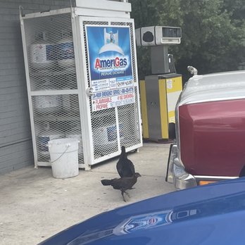 Eagle Food Mart - Gas Stations Near Me - Burlington, North Carolina Eagle Food Mart - Gas Stations Near Me - Burlington, North Carolina