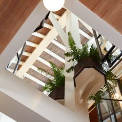 Carriqui - The interior atrium above the Carriqui Bar brings fills the space with natural sunlight.