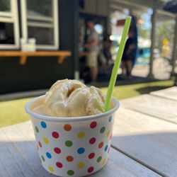 Poppy's Frozen Yogurt - Vanilla Ice cream