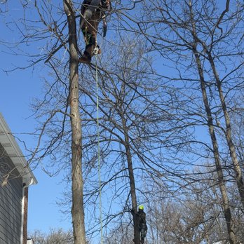 Neighbor Tree Service - . - Tree Services Near Me - Palatine, Illinois