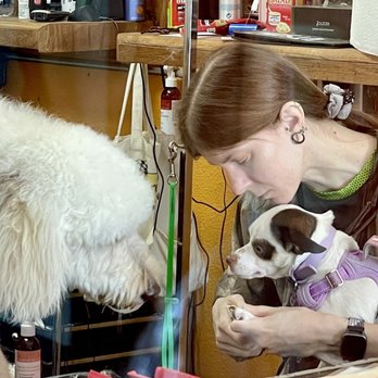 Doggie Dos  - Dolci getting her nails trimmed by Stefany w/ a sweet friend checking it out. - Pet Groomers Near Me - La Mesa, California