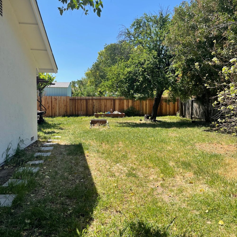Zoe Landscaping - before 4 - Landscape Architects or Designers Near Me