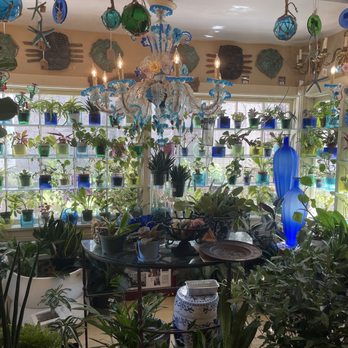 Laguna Nursery - Loved the blue and green garden window - Nurseries & Gardening Near Me - Laguna Beach, California Laguna Nursery - Loved the blue and green garden window - Nurseries & Gardening Near Me - Laguna Beach, California