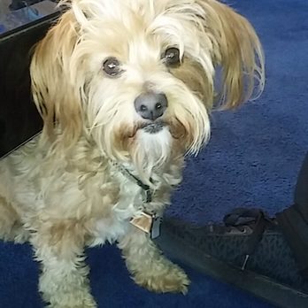 All Town Transport - This is meme she gets so excited when Johnathan & Evr comes - Medical Transportation Near Me - Van Nuys, California All Town Transport - This is meme she gets so excited when Johnathan & Evr comes - Medical Transportation Near Me - Van Nuys, California