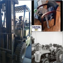 Tahoe Fence - Tahoe Fence yard dog, Wally, doing best "Snoopy" impressions in Mound House (Lyon County.) Our grandfather with his dog on the dairy tractor