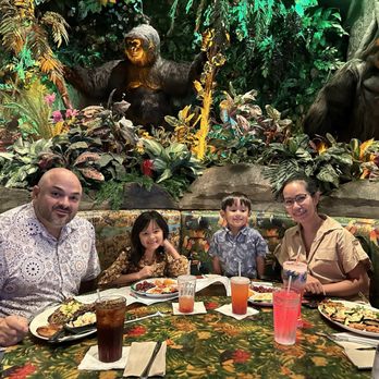 Rainforest Cafe - American Near Me - Galveston, Texas